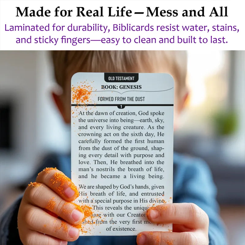 Biblicards - 100 Beautifully Illustrated Biblical Cards